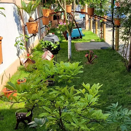 Pensionat Casa Luminita *
