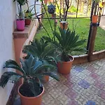 Vendégház Casa Luminita